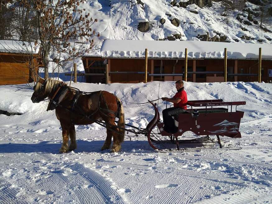 Cheval à traîneau à Valloire