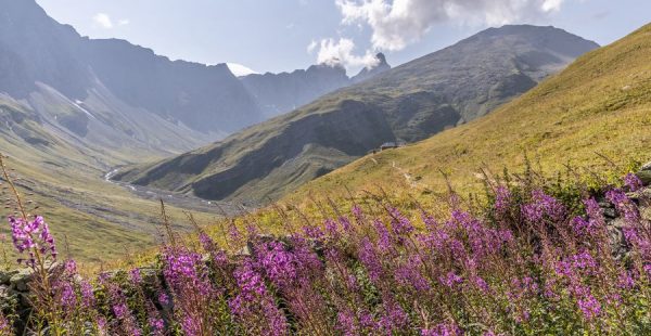 Le sommet des Râtissières - Itinéraire de randonnée pédestre