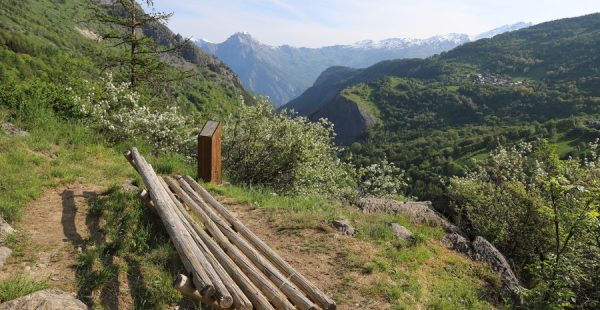 Le sentier écosylve de Valloire