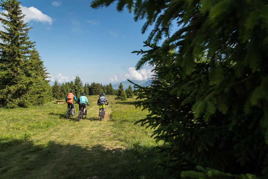 piste vtt de descente La Familiale à Valloire