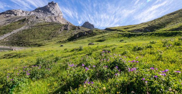 Le tour des lacs et retour par la combe de l'Aiguille Noire