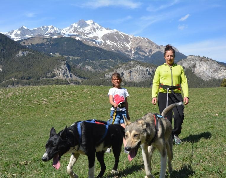 Cani-randonnée à Valloire