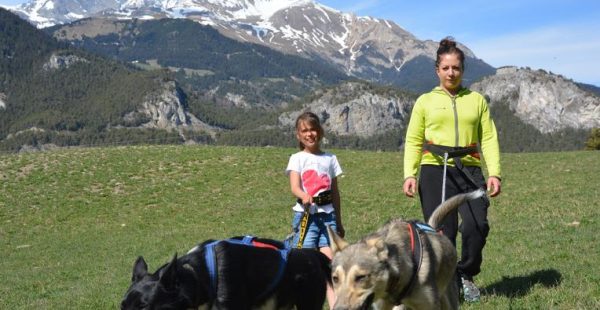 MUSHING SPIRIT