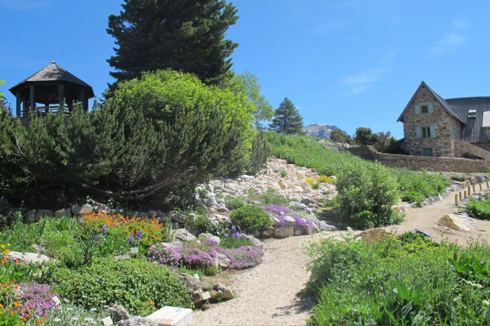 Visite guidée du jardin du Lautaret