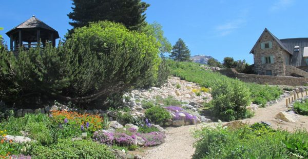 Visite guidée du jardin du Lautaret