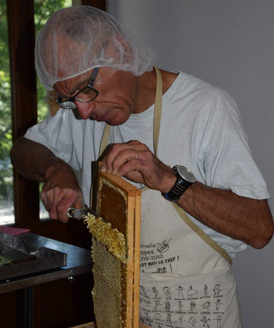 A la découverte du miel et des abeilles_Valloire