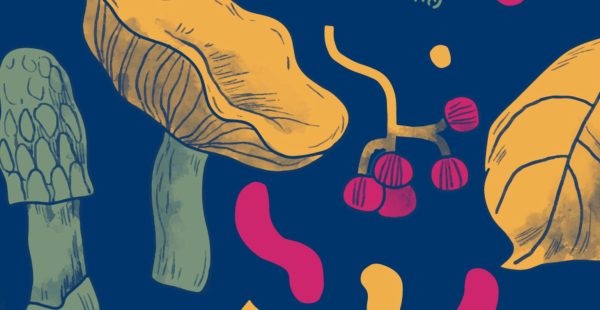 Conférence : Champignons, usages, culture et territoire