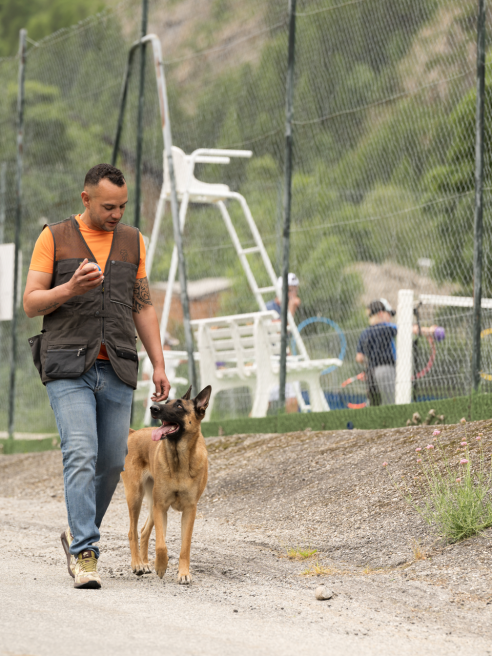 Cours d'éducation canine avec Work'n'Dog Adacemy_Valloire
