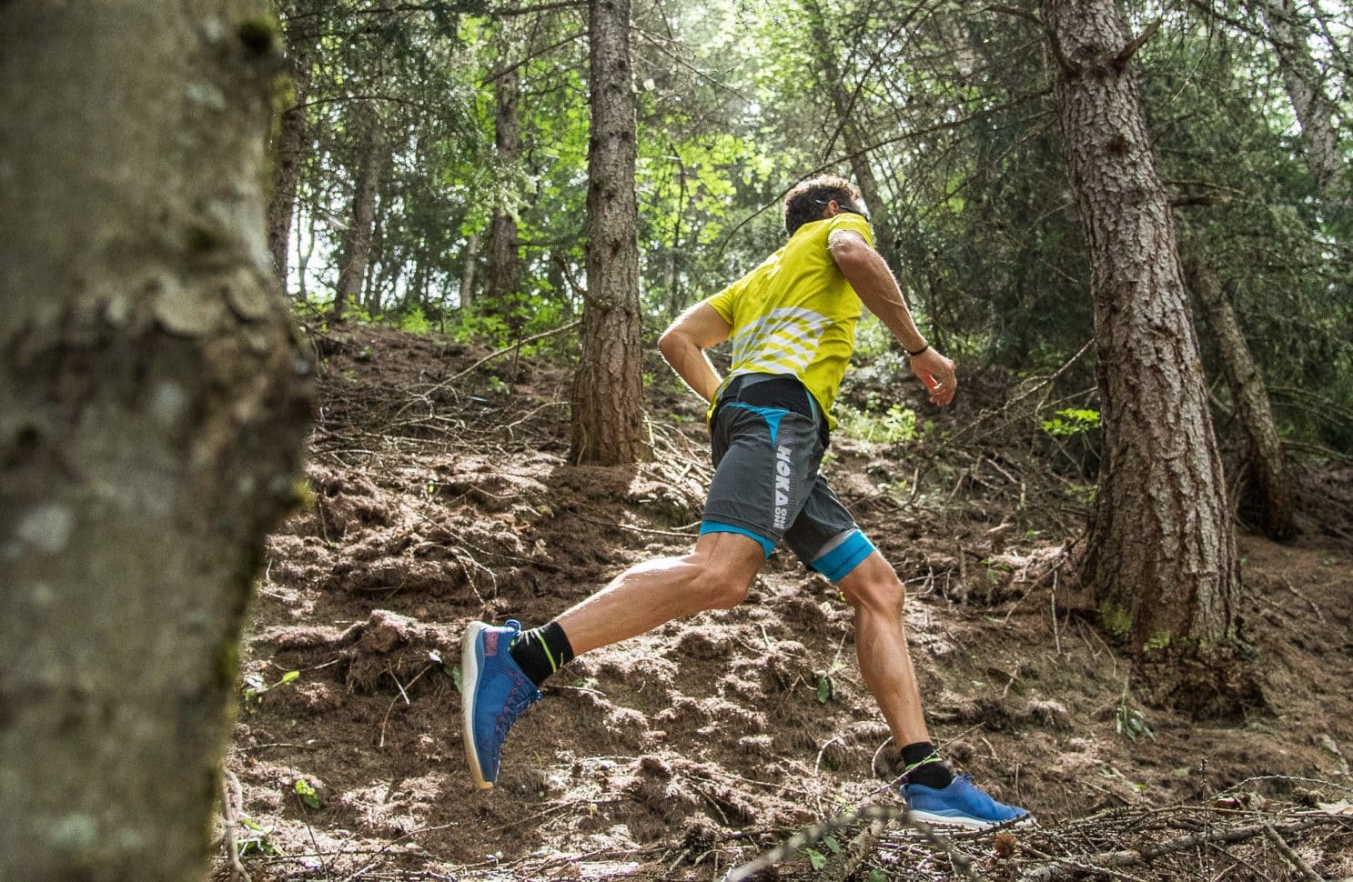 ludovic-pommeret-trail-foret-valloire-hoka.jpg