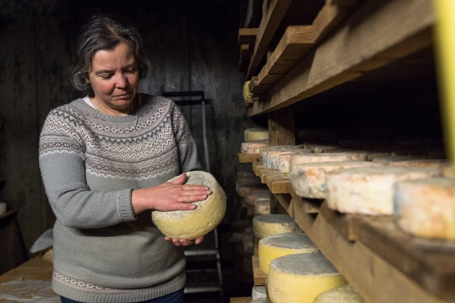 Tommes ferme du pré clos