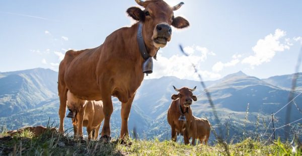 Votre week-end ou mini séjour à Valloire cet été
