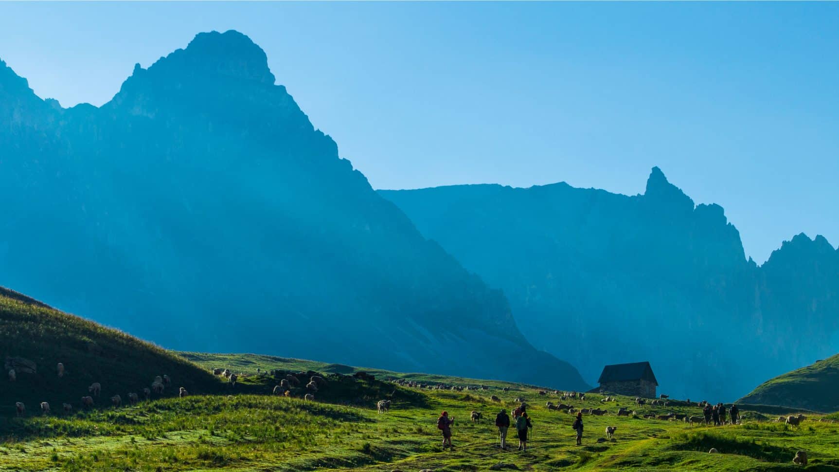 Plan-Lachat - au loin le Massif des Cerces