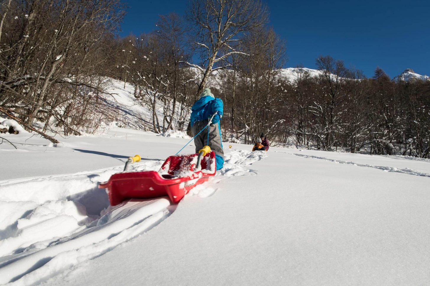 Activités luge pour les enfants à Valloire