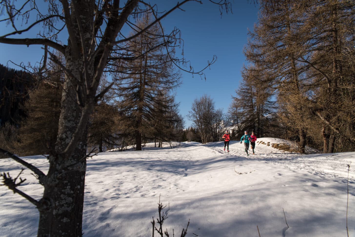 trail hiver