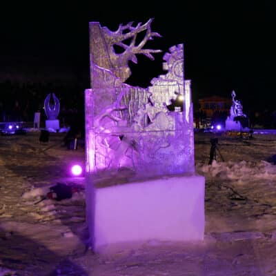 12_J4N_VEUILLET_765
