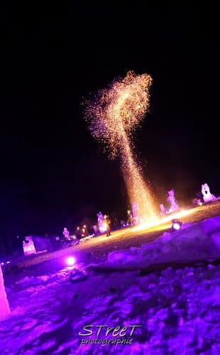 Sculptures sur glace 232S2A8400