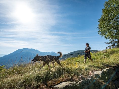 Cani RandoAPernet-OTValloire-HD-300724-004-min