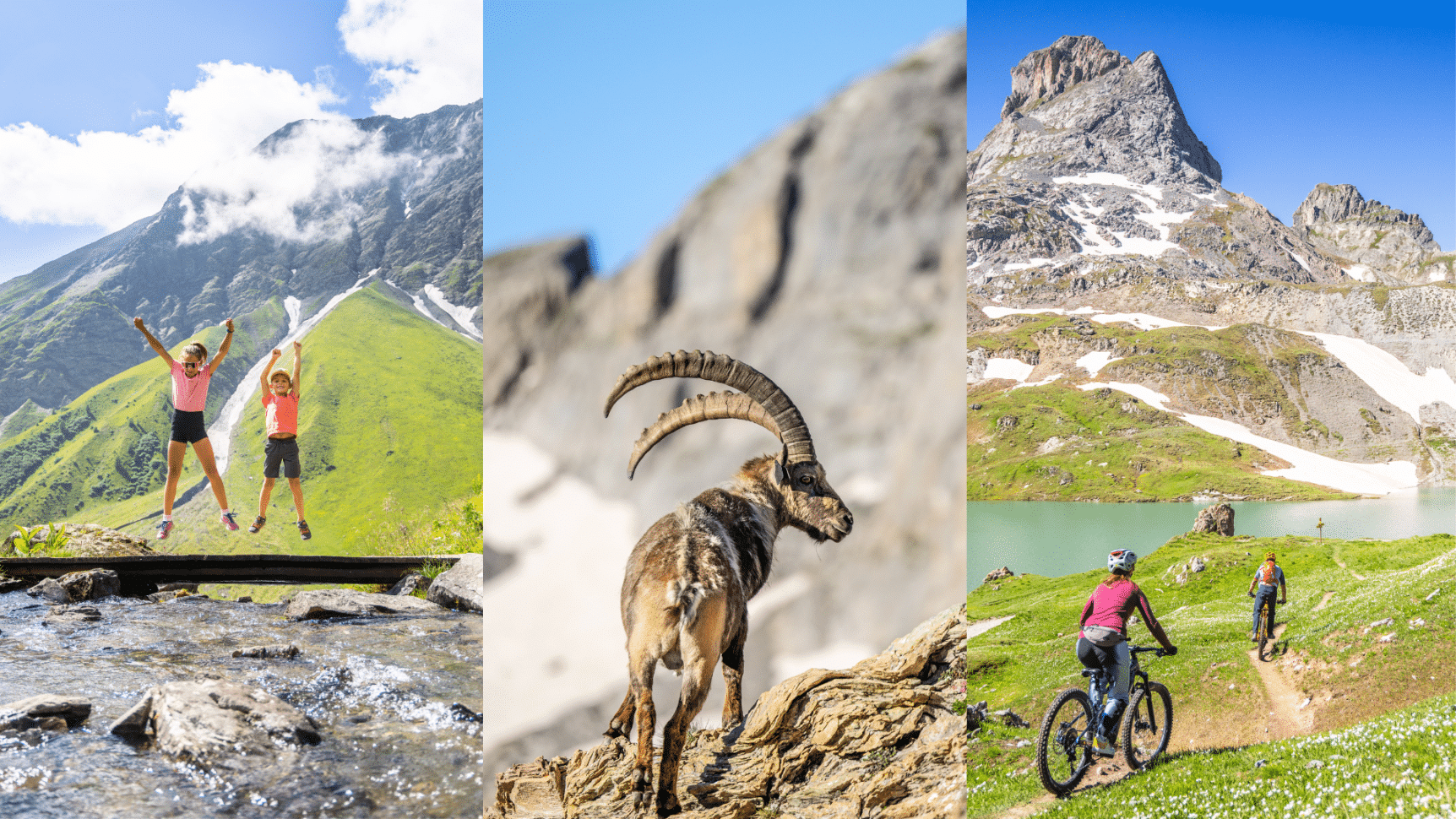 Une famille qui randonne, un bouquetin et un couple qui fait du VTT au lac des Cerces.